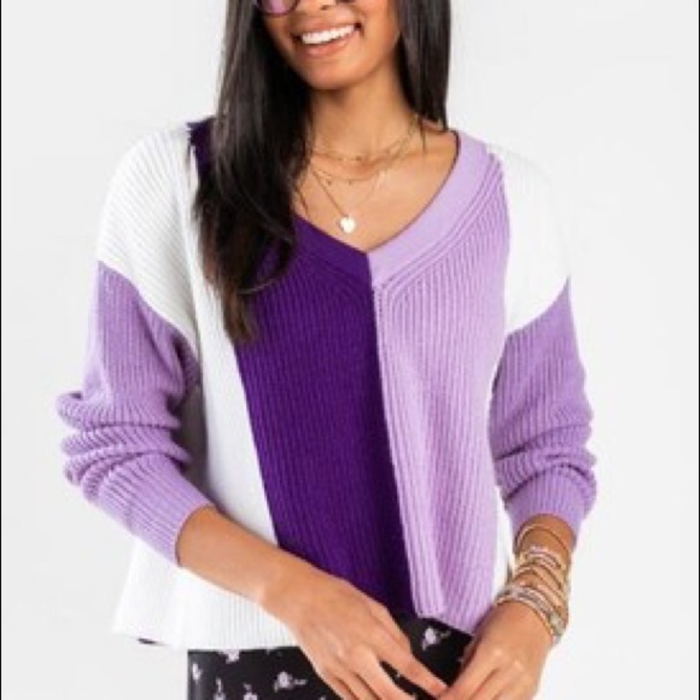 Francesca’s purple color block sweater (small)
